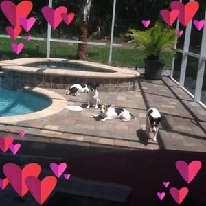 Meet your Posher, Darlene